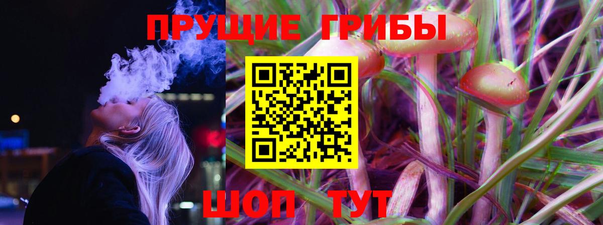 Галлюциногенные грибы Psilocybe Арзамас
